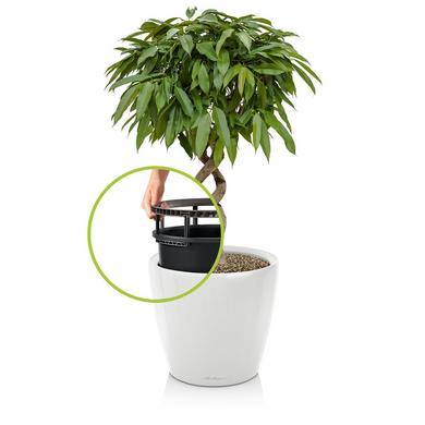 CLASSICO LS 28 white high-gloss